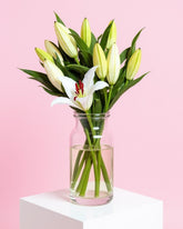 Lily Bunch + Vase